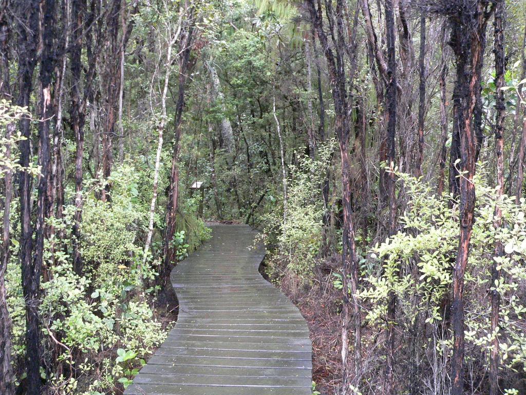 فيلا Kepplestone By The Sea - The Catlins New Haven المظهر الخارجي الصورة