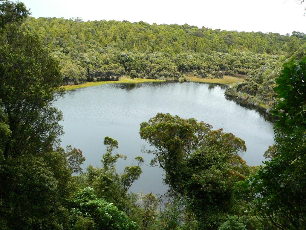 فيلا Kepplestone By The Sea - The Catlins New Haven المظهر الخارجي الصورة