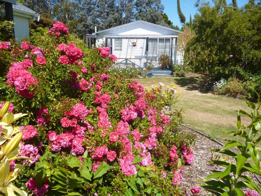 فيلا Kepplestone By The Sea - The Catlins New Haven المظهر الخارجي الصورة